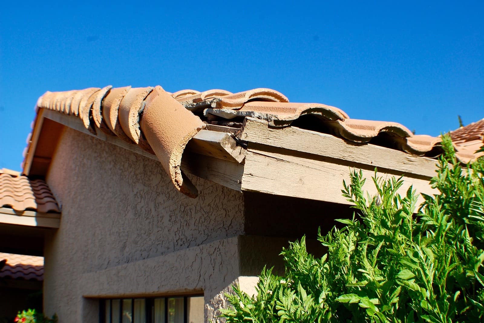 Roof Repair & Leaks